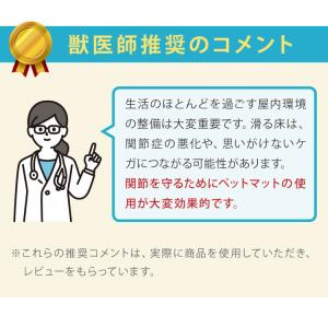 SankoPet 日本製 ペット用 ケージ用 ...の詳細画像4