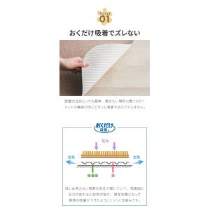SankoPet 日本製 ペット用 ケージ用 ...の詳細画像5