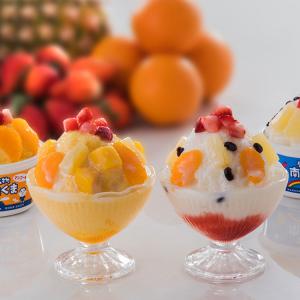 セイカ食品 元祖鹿児島 南国白くま4P 480ml（120ml×4個入）×8箱|アイス