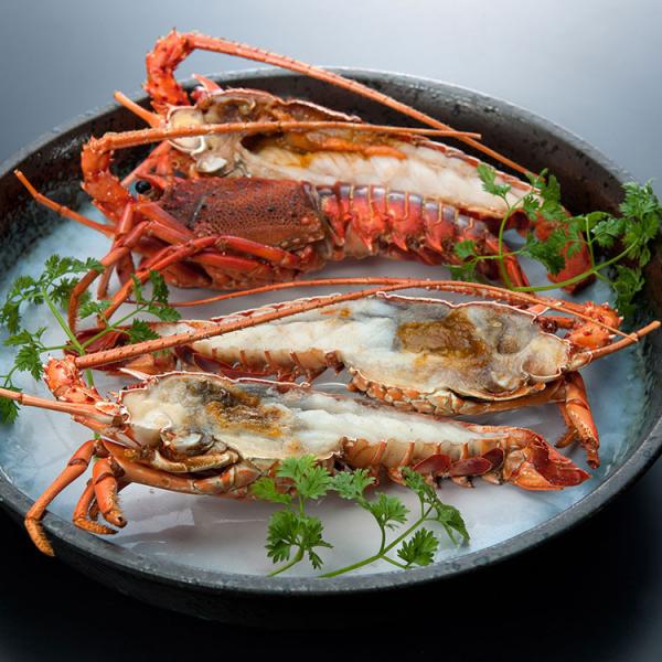 冷凍伊勢海老ハーフカット お年賀 冬ギフト 年始 寒中 見舞い お取り寄せグルメ プレゼント 熨斗 ...