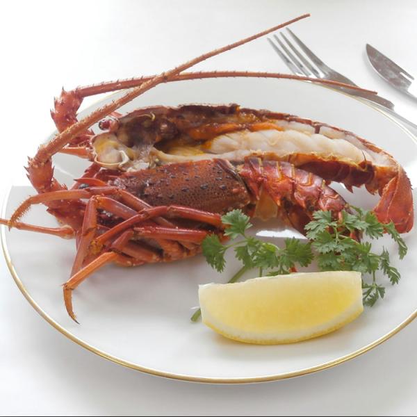 冷凍伊勢海老ハーフカット お年賀 冬ギフト 年始 寒中 見舞い お取り寄せグルメ プレゼント 熨斗 ...