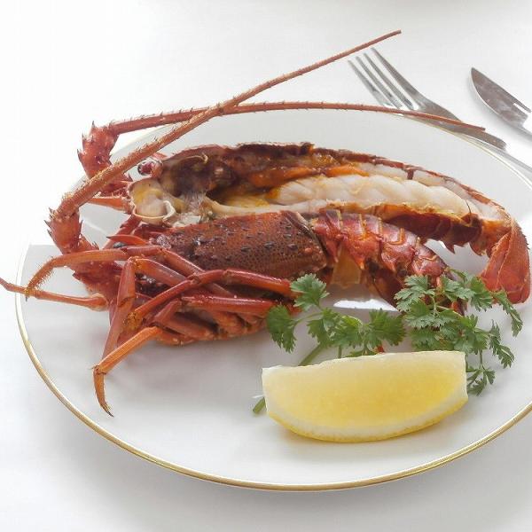 徳島 「吟月」 天然冷凍伊勢海老(2尾) お年賀 冬ギフト 年始 寒中 見舞い お取り寄せグルメ プ...