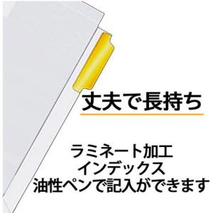 マルマン A4 ラミタブ見出シ 2穴10山 5...の詳細画像2