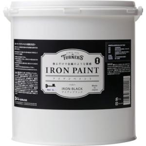 ターナー アイアンペイント ブラックの高価買取価格