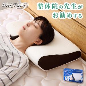 テンピュール（TEMPUR） トラベルピロー 正規品 枕 マクラ 専用ケース