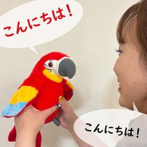 キヨラカ おしゃべりオウちゃん 話しかけると嬉...の詳細画像2
