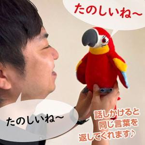 キヨラカ おしゃべりオウちゃん 話しかけると嬉...の詳細画像3