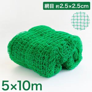 バックネット 野球 5×10m 網目2.5cm グリーン 防球ネット ネット 保護用ネット 多目的ネット ゴルフネットバッティングネット カラスよけ｜rcmdse