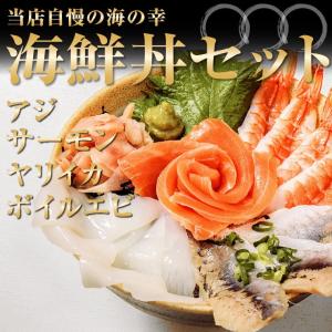 海鮮丼セット C アジ サーモン ヤリイカ エビ ちらし寿司...
