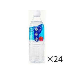 養命水 500ml×24本 124446487｜rcmdse