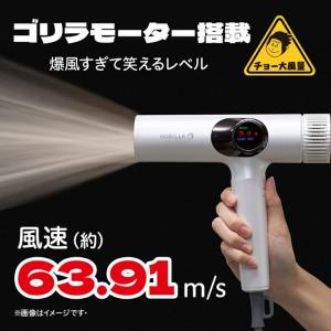 ゴリラのひとふき 時短 ハイパワーゴリラドライ...の詳細画像2