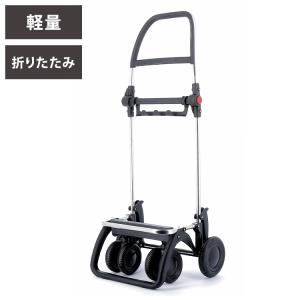 ROLSER ロルサー 2輪フレーム RS-LG2(ロルサー専用フレーム NSシリーズ