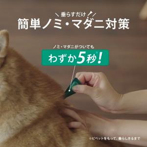 【動物用医薬品】 【3個セット】 フロントライ...の詳細画像5