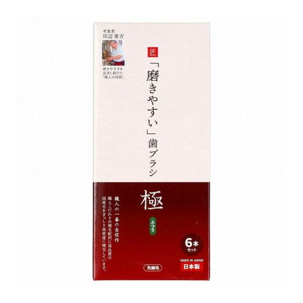 単品14個セット LT-53磨きやすい歯ブラシ極ふつう6本組 株式会社ライフレンジ 代引不可