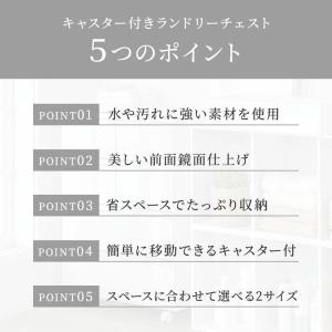 完成品 日本製 ランドリー収納 ランドリーチェ...の詳細画像2