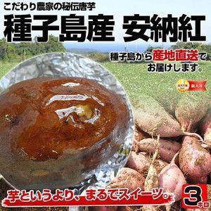 特Aランク品 芋 いも 産地直送 種子島産 こだわり農家の秘伝唐芋 安納紅 3キロ 1箱S〜Lサイズ