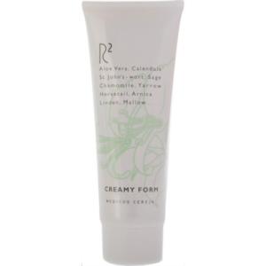 R2 自然派基礎化粧品 クリーミーフォーム 120g