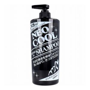 nk】 極涼 アイス ボディシャンプー (1000mL) クールボディソープ