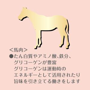 8個セット アドメイト プレミアム 角切り馬肉...の詳細画像3