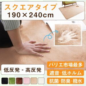 低反発・高反発ハイブリッド2層式・フランネル調 マイクロファイバーラグ FranFille フランフィーユ スクエアタイプ 長方形190×240cm｜rcmdse