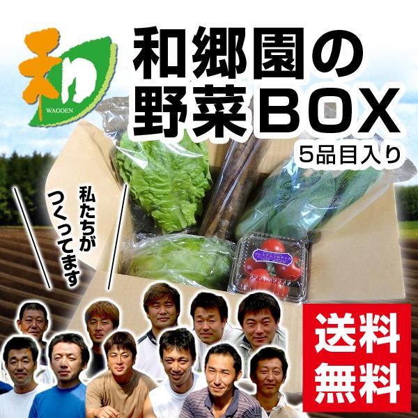 和郷園 野菜ボックス5品目 野菜セット 野菜BOX 産地直送 農家厳選
