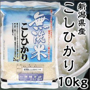 米 日本米 Aランク 令和5年度産 新潟県産 平場コシヒカリ 5kg ご注文をいただいてから精米しま...