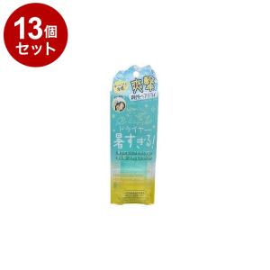 単品13セット Coolist クーリスト スカルプクーラー シトラスミントの香り お風呂上り ドライヤー