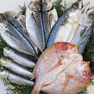 冷凍 九州 一夜干し 4種 産地直送 産直 食品 食べ物 お取り寄せ グルメ ご当地グルメ 魚 海鮮...