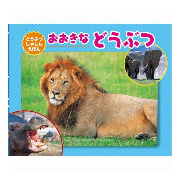 知育えほん13冊セット COS-80-06 代引不可