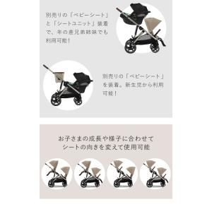 正規販売店 ガゼルS+シートユニット セット ...の詳細画像3