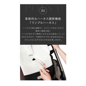 正規販売店 ガゼルS+シートユニット セット ...の詳細画像4