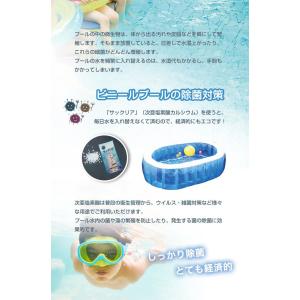プール塩素消毒剤 顆粒 10g×10袋入り ビ...の詳細画像2