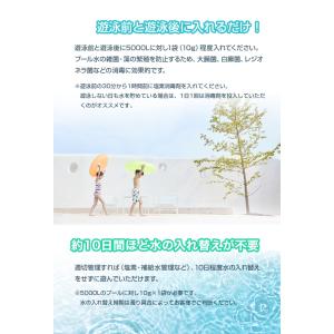 プール塩素消毒剤 顆粒 10g×10袋入り ビ...の詳細画像3