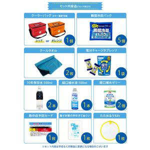 熱中症対策キットDX 17点 レッド 8セット...の詳細画像2