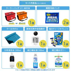 熱中症対策キット 黒球式熱中症指数計付き 9点...の詳細画像2