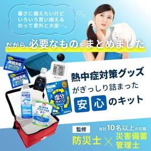 熱中症対策キット 黒球式熱中症指数計付き 9点...の詳細画像1