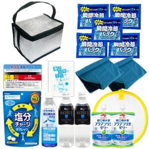 熱中症対策キットDX 17点 シルバー 1セット 熱中症対策用品 暑さ対策 クーラーバッグ 瞬間冷却剤 ゼリー ドリンク ATDX001（直送品）