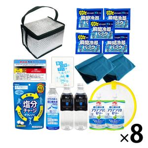 熱中症対策キットDX 17点 シルバー 8セット 熱中症対策用品 暑さ対策 クーラーバッグ 瞬間冷却剤 ゼリー ドリンク ATDX008（直送品）