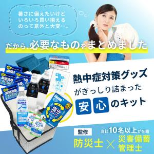 熱中症対策キットDX 17点 シルバー 8セッ...の詳細画像1