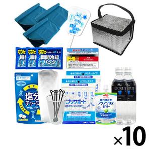 熱中症対策キット シェア 39点 シルバー 10セット 熱中症対策用品 複数人向け 塩分補給パウダー 熱中症対策グッズ ATD001（直送品）
