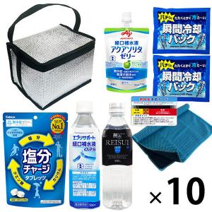 熱中症対策キット 9点 シルバー 10セット 熱中症対策用品 暑さ対策 クーラーバッグ コンパクト 瞬間冷却剤 ゼリー ドリンク（直送品）