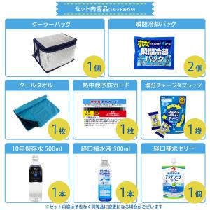 熱中症対策キット 9点 シルバー 10セット ...の詳細画像2