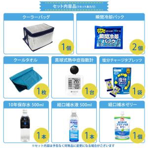 熱中症対策キット 黒球式熱中症指数計付き 9点...の詳細画像2