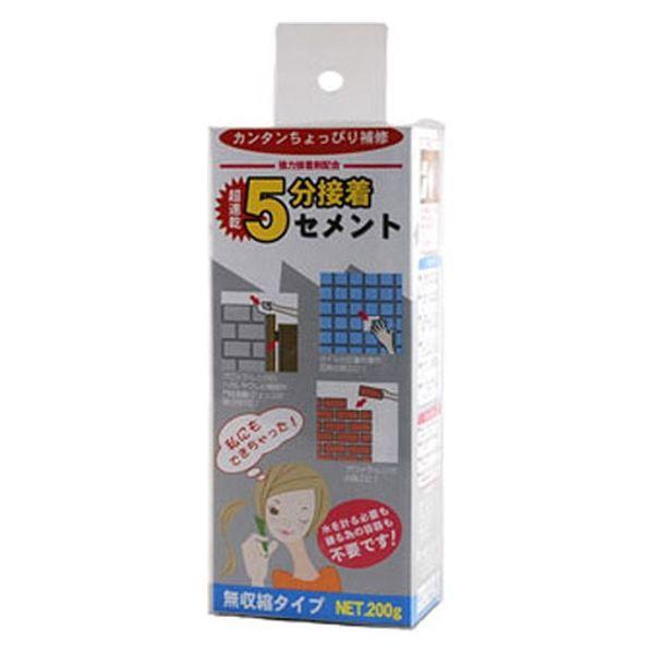 家庭化学工業 家庭化学 超速乾5分接着セメン 200g 209711 1個（直送品）