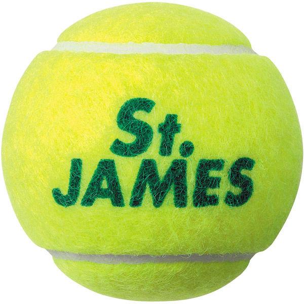 DUNLOP(ダンロップ) テニス ボール St.JAMES セント・ジェームス 40球（4球入×1...