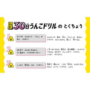 文響社 1日1まい 30日うんこドリル かん字...の詳細画像2