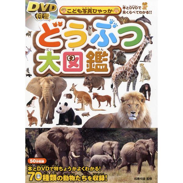 永岡書店 DVD付き どうぶつ大図鑑 43024 3冊（直送品）