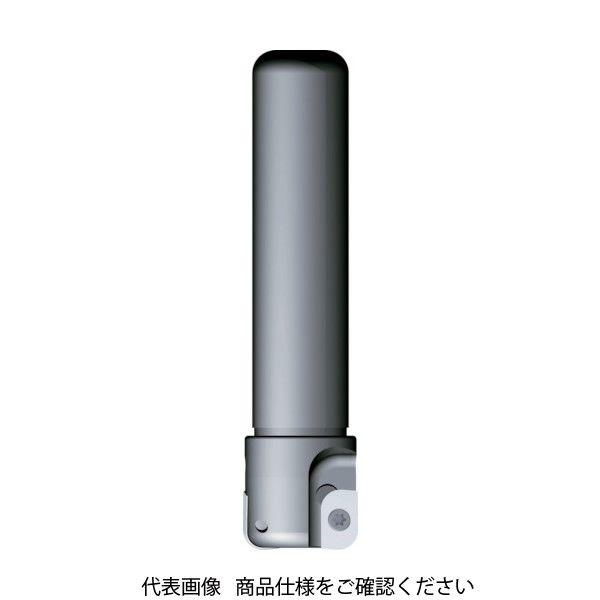 富士元工業 富士元 フライス工具 すみっこ シャンクφ25 加工径φ30 2.5R以下 SK25-3...