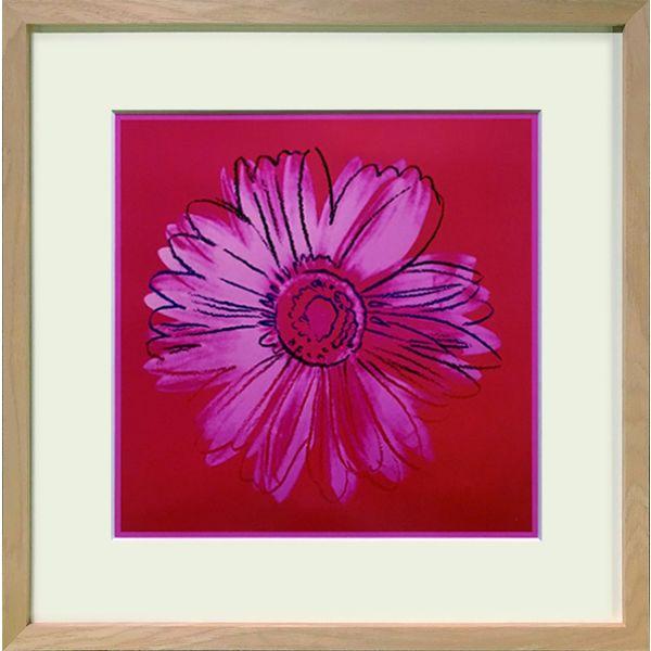 美工社 Daisy c.1982(crimson and pink)　絵画　ポスター IAW-625...