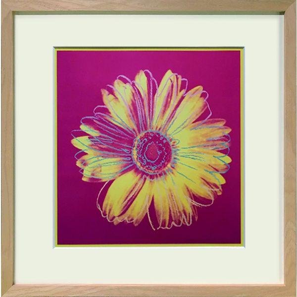 美工社 Daisy c.1982(fuchsia ＆ yellow)　絵画　ポスター IAW-625...